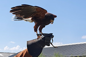 Valkerij Manege