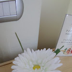 Photo n°4 de l'avis de Alessandro.a fait le 02/09/2020 à 06:28 sur le  ErbaVoglio Hotel à Rimini