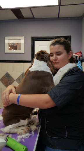 Pet Groomer «Precious Paws», reviews and photos, 221 N Marble St, Rockmart, GA 30153, USA