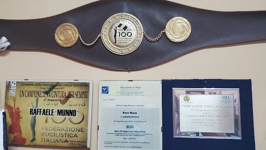 Palestra Boxe Medaglia d'Oro Marcianise Via Gabriele D'Annunzio, 5, 81025 Marcianise CE, Italia