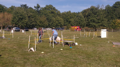 Club d'Éducation Canine Ballan-Miré ECB37 à Ballan-Miré