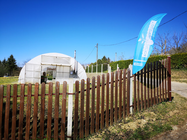 Kocsis Kertészet Zalaegerszeg - Pethőhenye