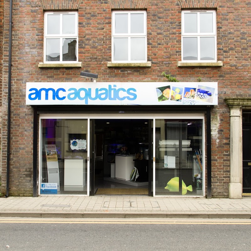 AMC Aquatics