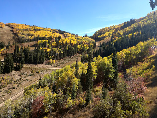 Amusement Park Ride «Park City Alpine Slide», reviews and photos, 1345 Lowell Ave, Park City, UT 84060, USA