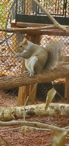 Government Office «Bear Hollow Wildlife Trail», reviews and photos, 293 Gran Ellen Dr, Athens, GA 30606, USA