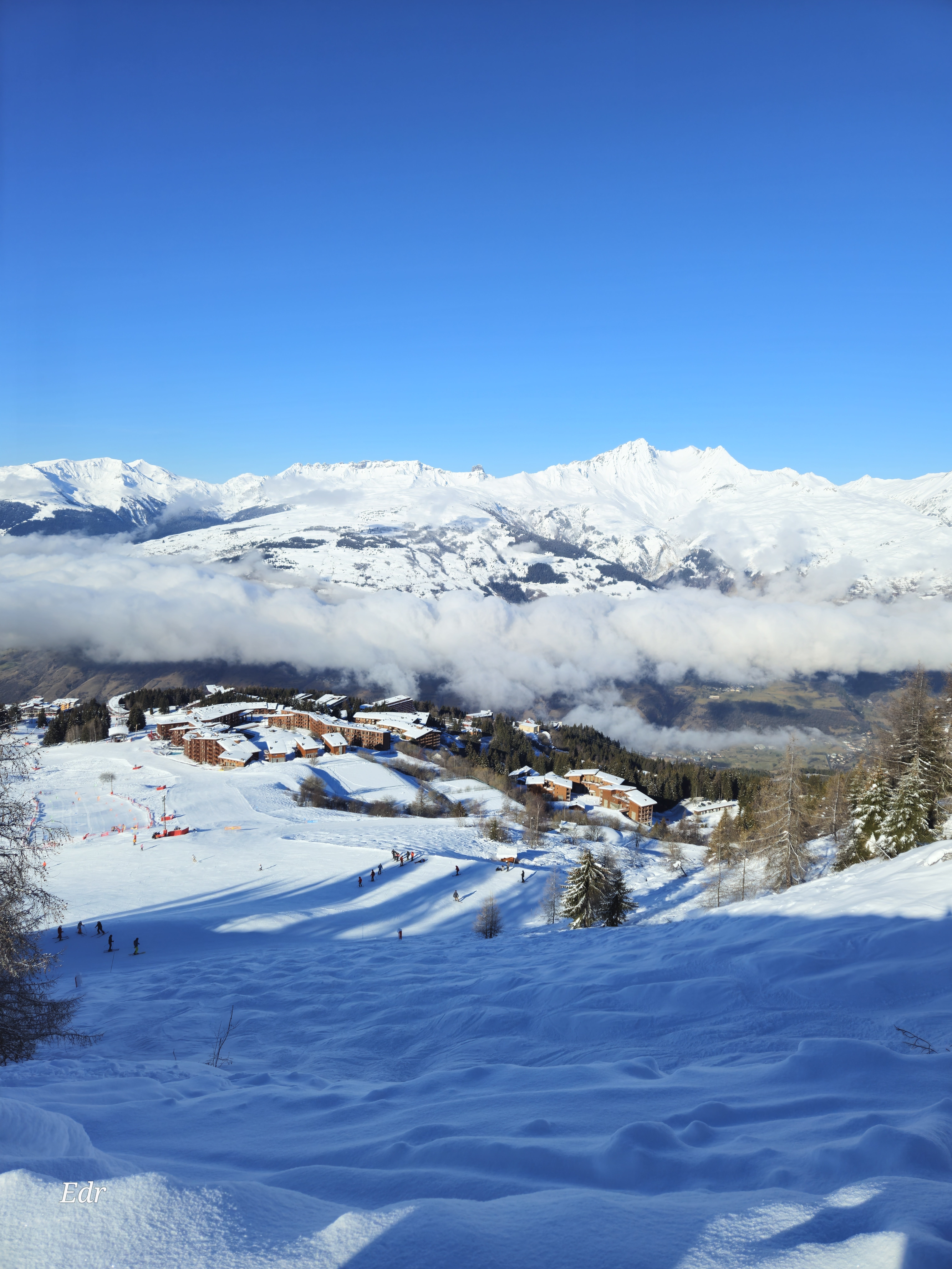 Photo n° 3 de l'avis de Erwin.e fait le 26/01/2024 à 14:21
