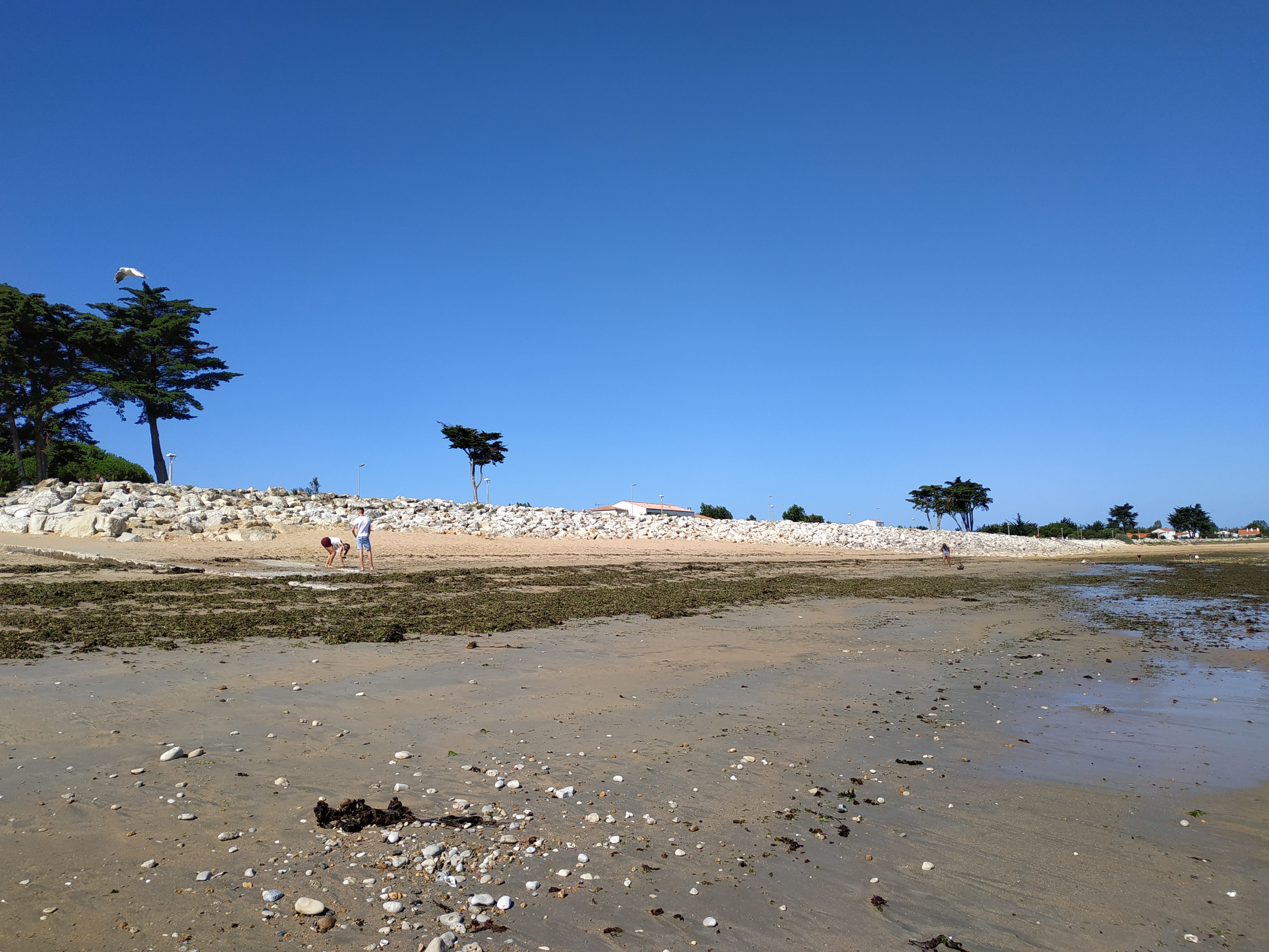 Photo n° 4 de l'avis de samuel.p fait le 20/08/2019 à 21:23