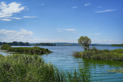 Madár várta Kis-balaton parkoló