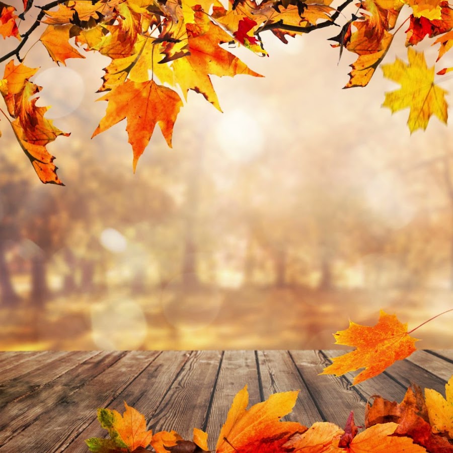 Restaurante El Rececho