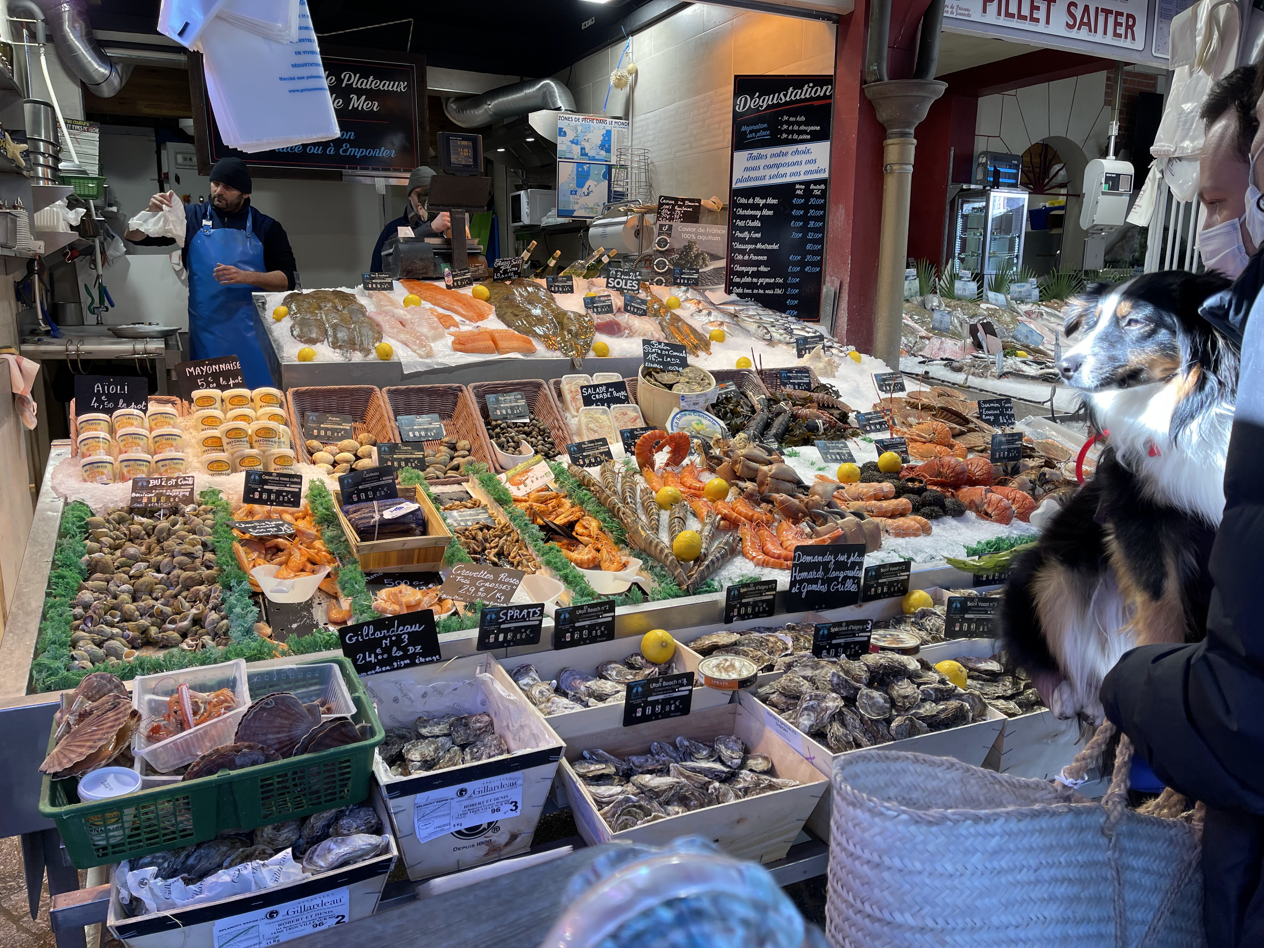 Photo n° 2 de l'avis de Ella. fait le 27/02/2022 à 17:39