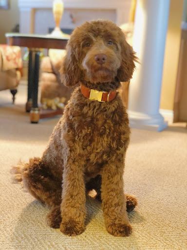 Pet Supply Store «EarthWise Pet Supply», reviews and photos, 7316 Yankee Rd, Liberty Township, OH 45044, USA