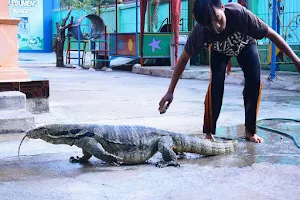 Taman Reptil Adiluhur image