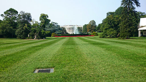 Federal Government Office «The White House», reviews and photos, 1600 Pennsylvania Ave NW, Washington, DC 20500, USA