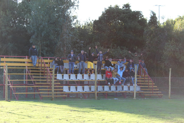 Opiniones de Campo Deportivo, Club La Guardia en Colbún - Campo de fútbol
