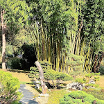 Photo n° 4 de l'avis de Marie-Claire.a fait le 14/09/2023 à 16:25 pour Les jardins aquatiques d'Acorus à Autoreille