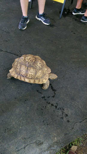 Golf Club «Muirfield Village Golf Club», reviews and photos, 5750 Memorial Dr, Dublin, OH 43017, USA