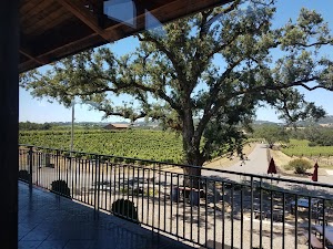 Hanna Winery - photo 38