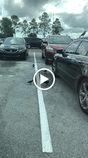 Department Store «Walmart Supercenter», reviews and photos, 550 US-27, Clermont, FL 34714, USA