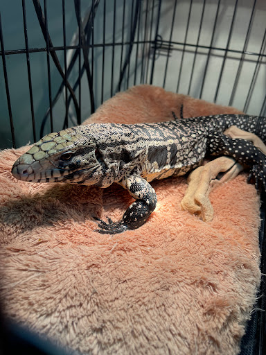 Pet Supply Store «House of Pets Inc», reviews and photos, 29500 Ford Rd, Garden City, MI 48135, USA