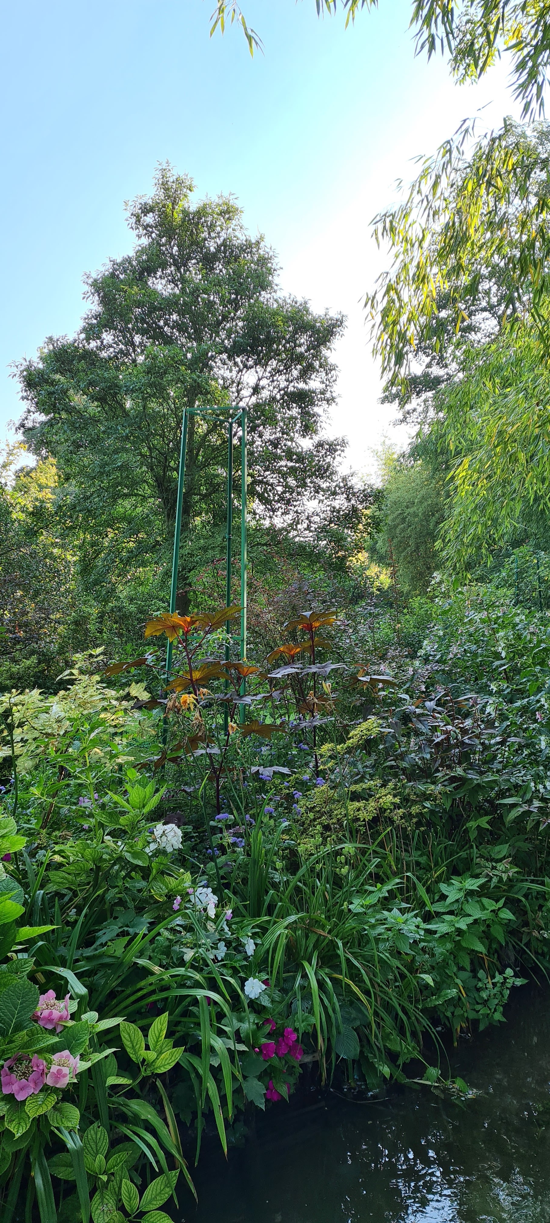 Photo n° 36 de l'avis de Gilles.o fait le 10/09/2021 à 06:37