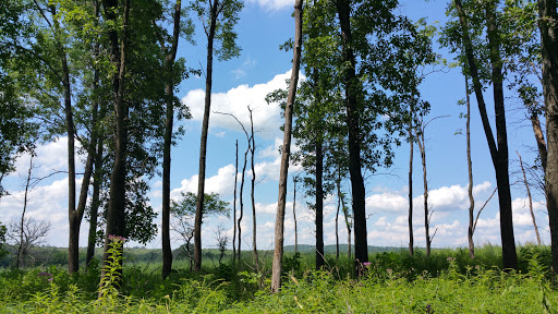 Nature Preserve «Shaw Nature Reserve», reviews and photos, 307 Pinetum Loop Rd, Gray Summit, MO 63039, USA