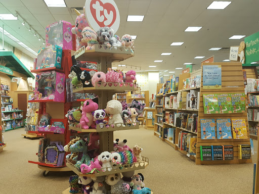 Book Store «Barnes & Noble», reviews and photos, 20600 N Rand Rd, Deer Park, IL 60010, USA