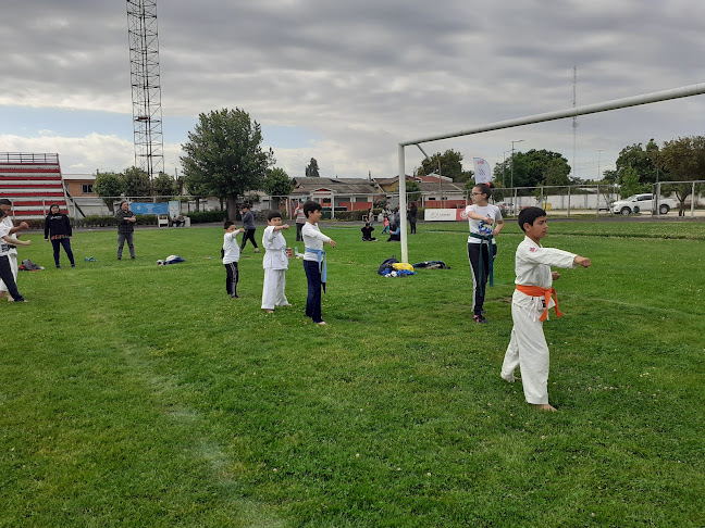 Opiniones de Estadio Fiscal de Linares Tucapel Bustamante en Linares - Gimnasio