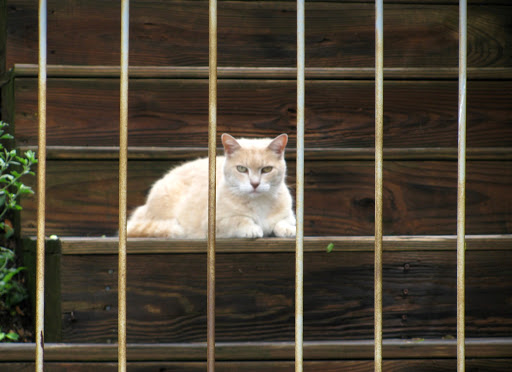 Winery «Breitenbach Wine Cellars», reviews and photos, 5934 Old Rte 39 NW, Dover, OH 44622, USA