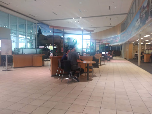 Toyota Dealer «Avondale Toyota», reviews and photos, 10005 Papago Fwy, Avondale, AZ 85323, USA