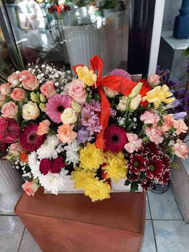 Eri Shop & Flowers - <nil>