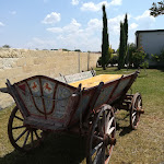 Photo n°2 de l'avis de Dolores.o fait le 22/08/2018 à 21:20 sur le  I Tarocchi Ristorante-Pizzeria-Relais-Piscina-Bar-Parco Giochi à Nardò