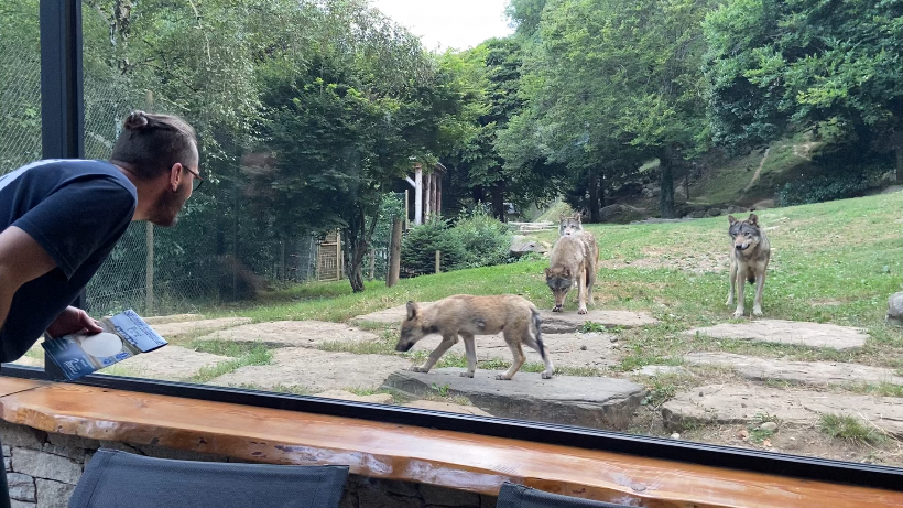 Photo n° 3 de l'avis de Thierry.u fait le 06/08/2023 à 16:24