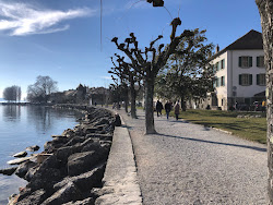 Plage de Perroy II'in fotoğrafı çok temiz temizlik seviyesi ile