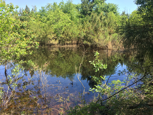 Nature Preserve «Little Cypress Creek Preserve», reviews and photos, Telge Rd & Spring Cypress Rd, Cypress, TX 77429, USA