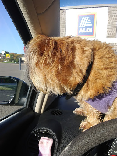 Supermarket «ALDI», reviews and photos, 930 Fairmount Ave, Jamestown, NY 14701, USA
