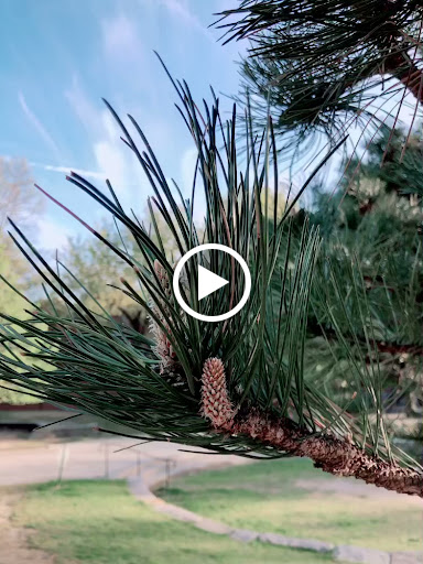 Park «Titus Sparrow Park», reviews and photos, 200 W Newton St, Boston, MA 02118, USA