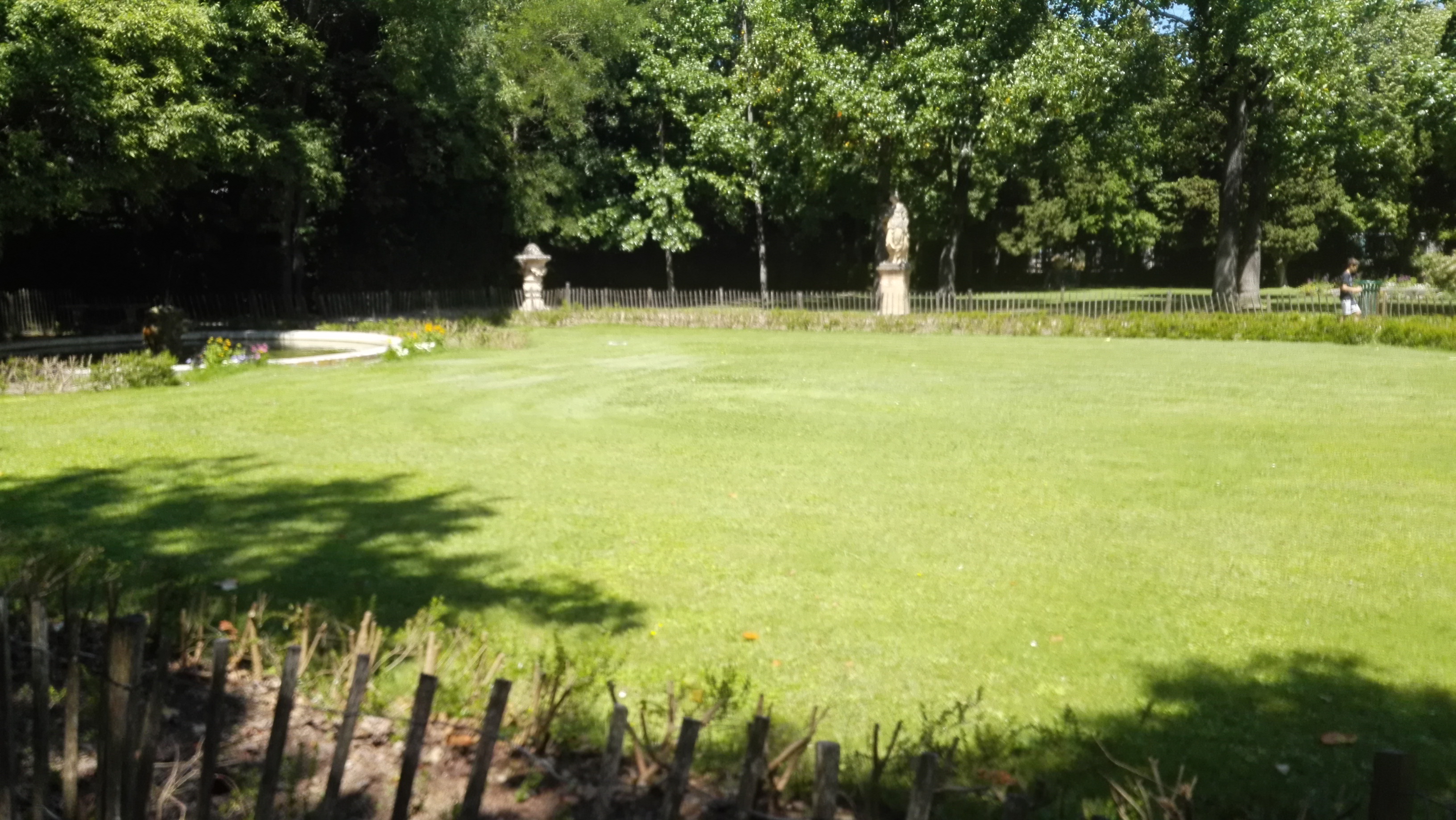 Photo n° 2 de l'avis de Caille. fait le 13/06/2019 à 21:11