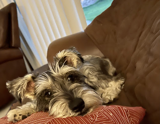 Air Conditioning Contractor «Ideal Energy», reviews and photos