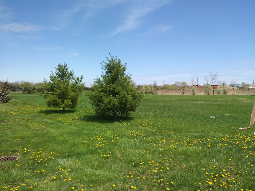 Espresso Bar «Bearclaw Coffee Co», reviews and photos, 24146 Sibley Rd, Romulus, MI 48174, USA