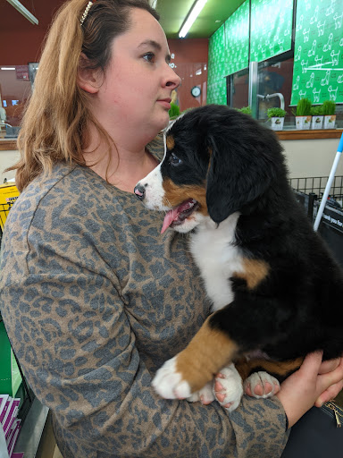 Pet Supply Store «Pet Supplies Plus», reviews and photos, 1155 Washington Pike, Bridgeville, PA 15017, USA