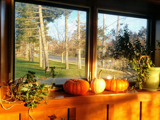 Coffee Shop «Freedom of Espresso», reviews and photos, 128 W Genesee St, Fayetteville, NY 13066, USA