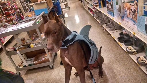 Office Supply Store «Office Depot», reviews and photos, 1651 Millerville Rd, Baton Rouge, LA 70816, USA