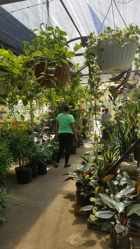 Las Auroras Garden Center