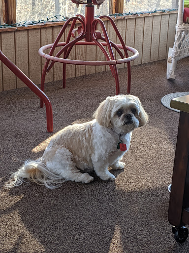 Cut Above Grooming Salon LLC