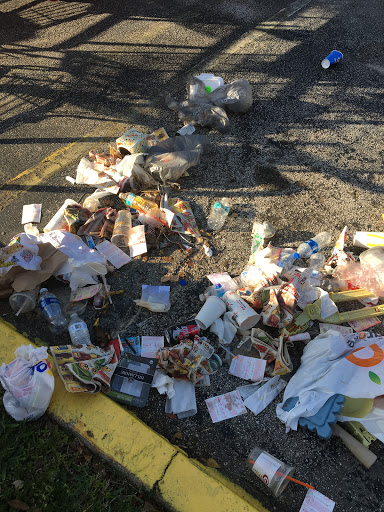 Grocery Store «Winn-Dixie», reviews and photos, 3850 N 46th Ave, Hollywood, FL 33021, USA