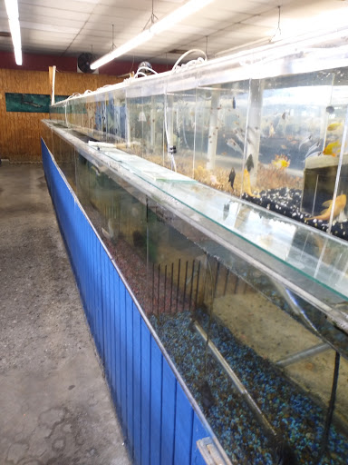 Tropical Fish Store «South Bay Aquarium», reviews and photos, 2021 W Redondo Beach Blvd A, Gardena, CA 90247, USA