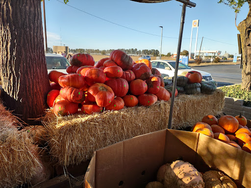 Produce Market «Pedrick Produce», reviews and photos, 6850 Sievers Rd, Dixon, CA 95620, USA