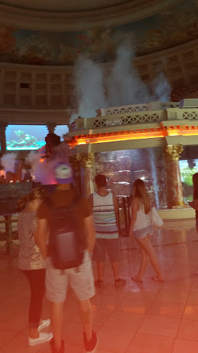 Computer Store «Apple The Forum Shops», reviews and photos, 3500 S Las Vegas Blvd, Las Vegas, NV 89109, USA