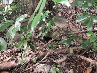 八十塚古墳群苦楽園支群第4号墳