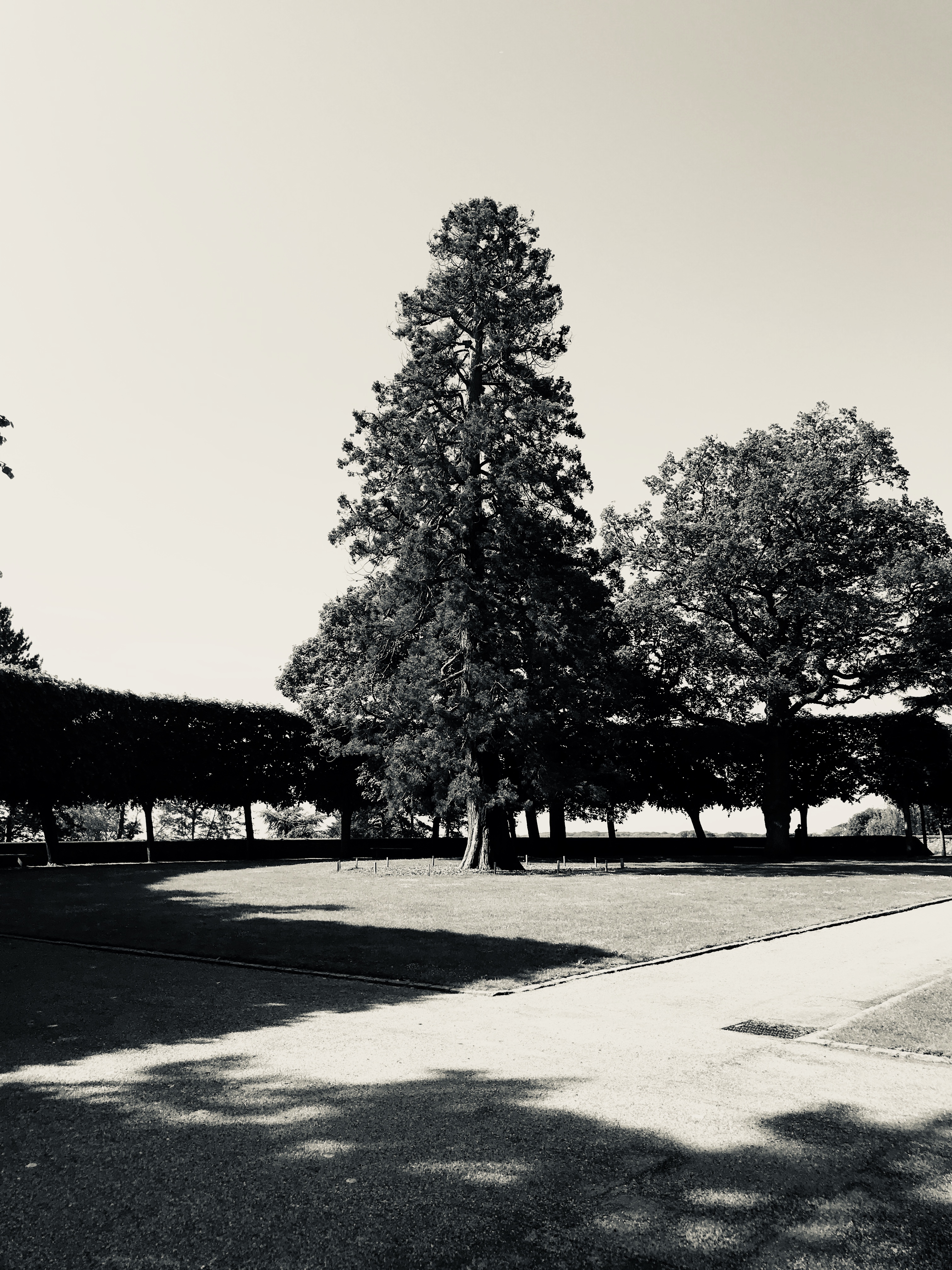 Photo n° 4 de l'avis de Julien. fait le 21/06/2018 à 13:34